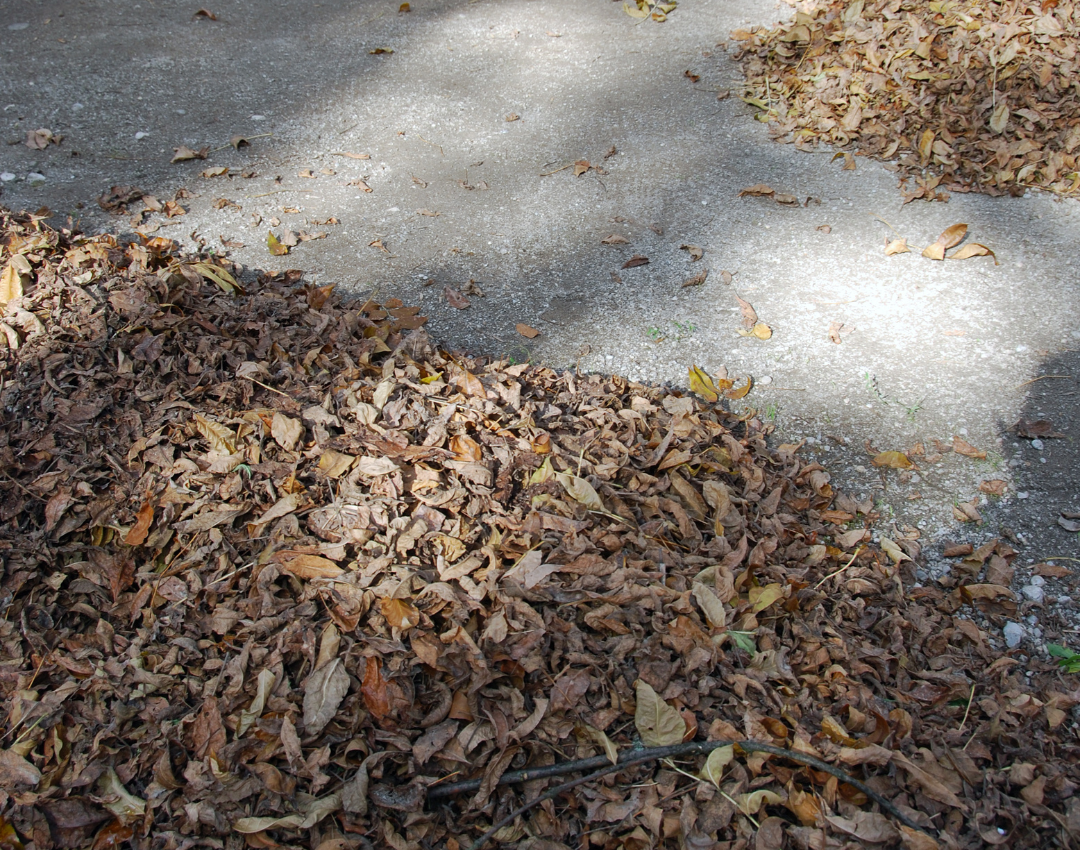 Milford Pressure Washing