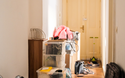 What Are The Next Steps After I Get My Junk Removed?