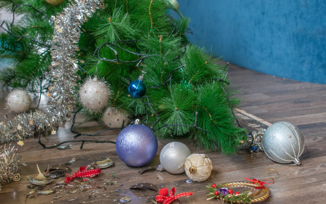 Best Junk Removal in Highlands Ranch, CO