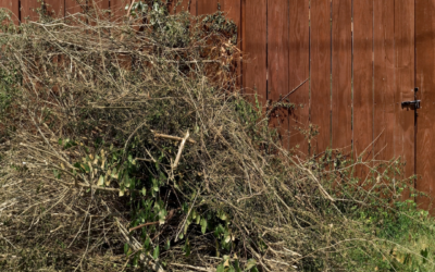 Can I Use Junk Removal Services for Spring Yard Debris?