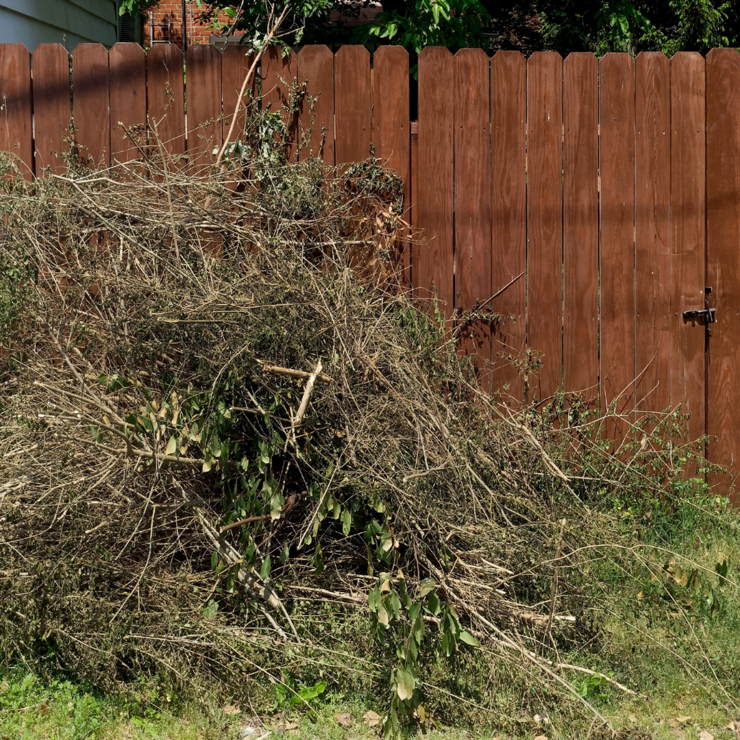 New England Pressure Cleaning